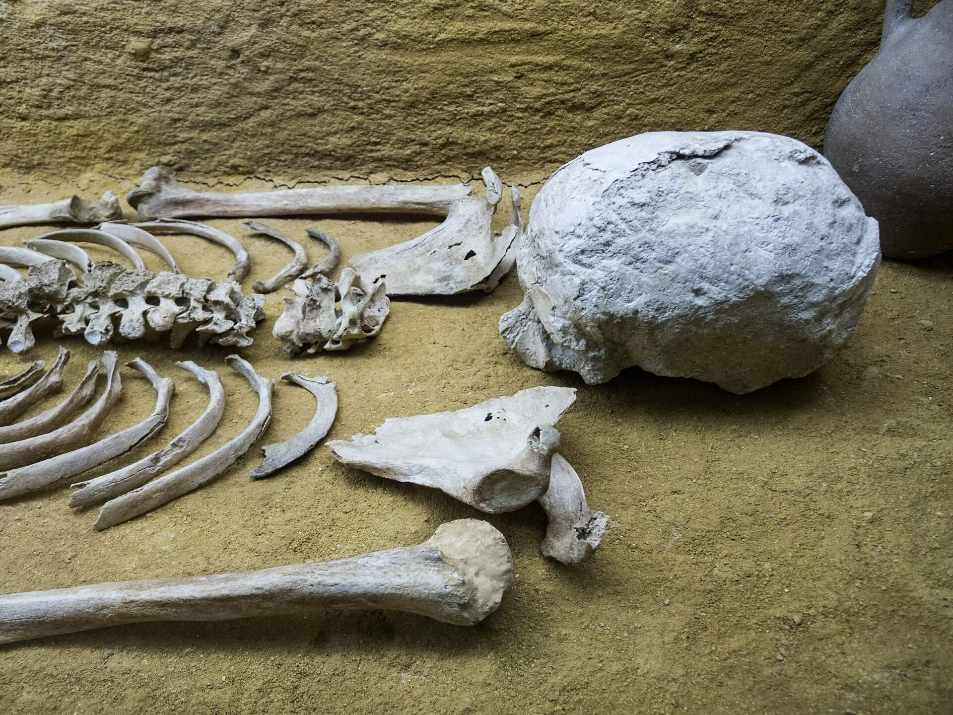 Skeleton bones on the floor of a burial site